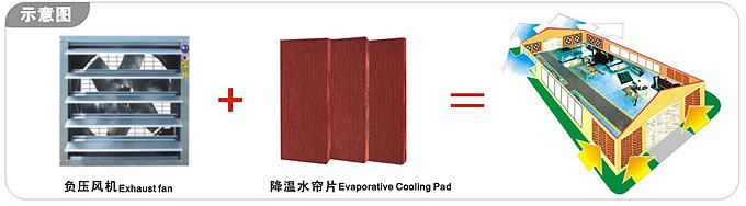 廣州廠房通風(fēng)降溫的方案、豪華形負(fù)壓風(fēng)機(jī)